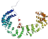 Adaptor Related Protein Complex 1 Beta 1 (AP1b1)