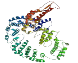 Adaptor Related Protein Complex 1 Gamma 1 (AP1g1)