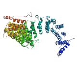 Adaptor Related Protein Complex 2 Alpha 2 (AP2a2)