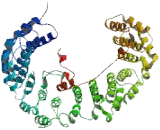 Adaptor Related Protein Complex 3 Beta 1 (AP3b1)