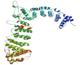 Adaptor Related Protein Complex 3 Beta 2 (AP3b2)