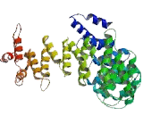 Adaptor Related Protein Complex 3 Delta 1 (AP3d1)