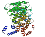 Adaptor Related Protein Complex 4 Epsilon 1 (AP4e1)