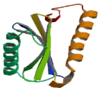 Adaptor Related Protein Complex 4 Sigma 1 (AP4s1)