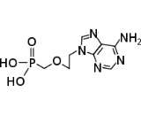 Adefovir (ADV)