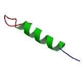 Adenosine Deaminase, RNA Specific B1 (ADARB1)