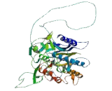 Adenosine Deaminase, tRNA Specific 1 (ADAT1)