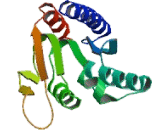 Adenosine Deaminase, tRNA Specific 2 (ADAT2)