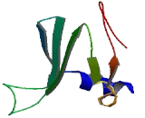 Adenosine Deaminase Like Protein (ADAL)