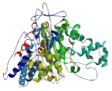 Adenosine Monophosphate Deaminase 2 (AMPD2)