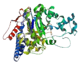 Adenosine Monophosphate Deaminase 3 (AMPD3)