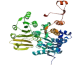 Adenosylhomocysteinase (AHCY)