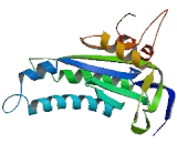 Adenylate Cyclase 10, Soluble (ADCY10)