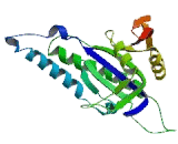 Adenylate Cyclase 2, Brain (ADCY2)