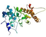 Adherens Junctions Associated Protein 1 (AJAP1)