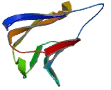 Adhesion Molecule, Interacts With CXADR Antigen 1 (AMICA1)