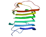 Adhesion Molecule With Ig Like Domain Protein 3 (AMIGO3)