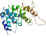 Adiponectin Receptor 1 (ADIPOR1)