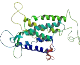 Adrenergic Receptor Alpha 1A (ADRa1A)