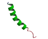 Adrenocorticotropic Hormone Receptor (ACTHR)