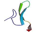 Agouti Signalling Peptide (ASIP)