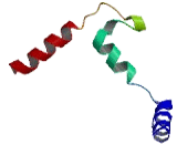 Alanine And Arginine Rich Domain Containing Protein (AARD)