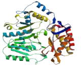 Ethanolamine Phosphate Phospho Lyase (ETNPPL)