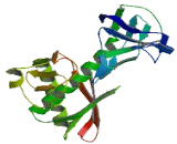 Alanyl tRNA Synthetase Domain Containing Protein 1 (AARSD1)