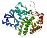 Alcohol Dehydrogenase, Iron Containing 1 (ADHFE1)