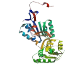 Aldehyde Dehydrogenase 3 Family, Member B2 (ALDH3B2)