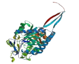 Aldehyde Dehydrogenase 9 Family, Member A1 (ALDH9A1)