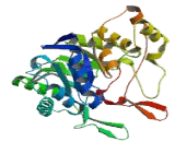 Aldo Keto Reductase Family 1, Member A1 (AKR1A1)