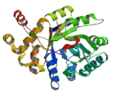 Aldo Keto Reductase Family 1, Member B15 (AKR1B15)