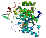 Aldo Keto Reductase Family 1, Member C3 (AKR1C3)