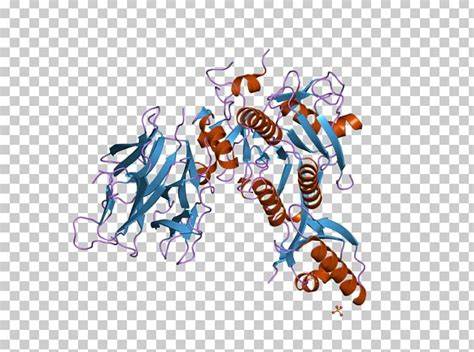 Alirocumab (ALC)