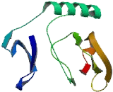 AlkB, Alkylation Repair Homolog 1 (ALKBH1)