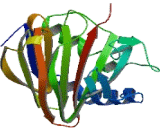 AlkB, Alkylation Repair Homolog 5 (ALKBH5)