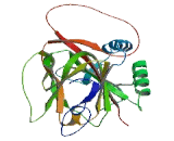 AlkB, Alkylation Repair Homolog 6 (ALKBH6)