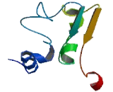 AlkB, Alkylation Repair Homolog 7 (ALKBH7)