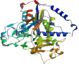 Alkaline Phosphatase, Intestinal (ALPI)