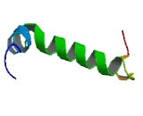 Alkylglycerol Monooxygenase (AGMO)