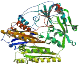 Alkylglycerone Phosphate Synthase (AGPS)