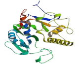 Alpha-1,3-Galactosyltransferase 2 (a3GALT2)