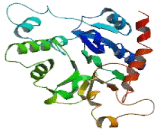 Alpha-1,4-Galactosyltransferase (a4GALT)