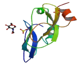 Alpha-1-Microglobulin (a1M)