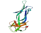 Alpha-1-B-Glycoprotein (a1BG)