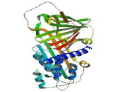 Alpha 2-Antiplasmin (a2PI)