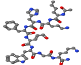 Alpha-Melanocyte Stimulating Hormone (aMSH)