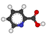 Picolinic Acid (PA)