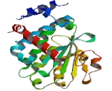 Alpha-Tocopherol Transfer Protein (TTPa)